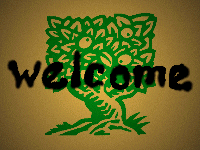 Welcome!